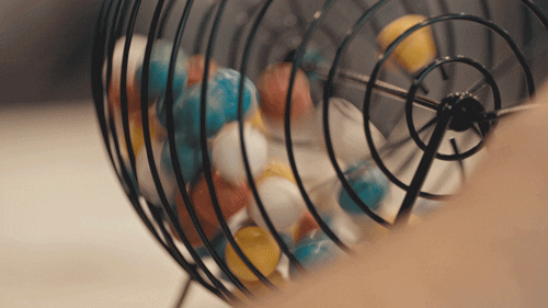 bingo gif